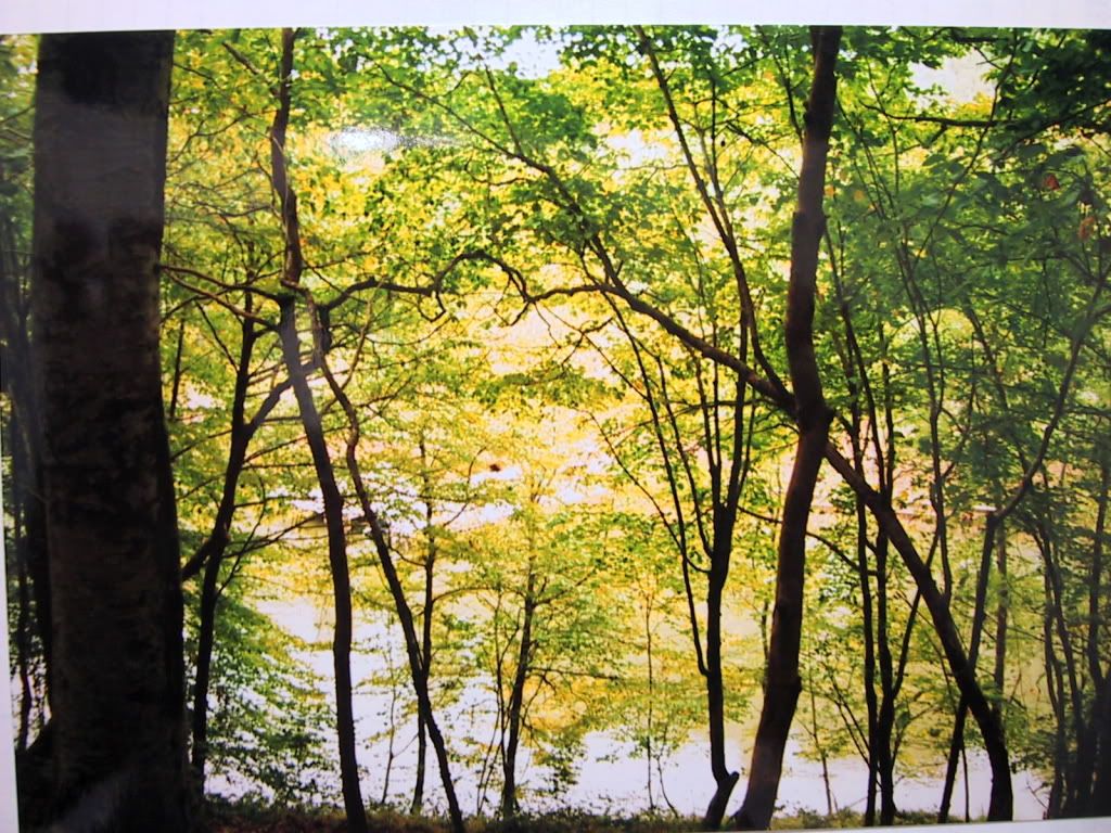 Reynolds Landing Lakefront Lot